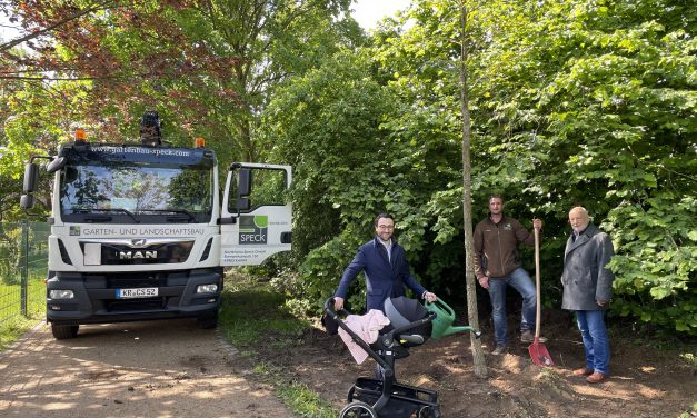 Bäume braucht die Natur