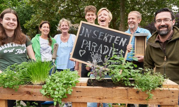 Initiative „Insektenparadies“