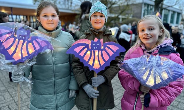 Bilder vom Martinszug in St. Hubert