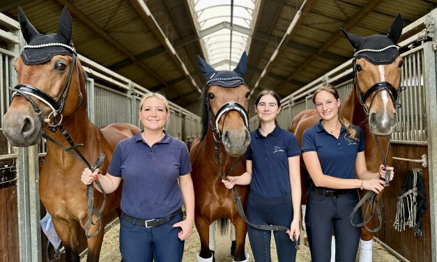 Reitturnier in St. Hubert vom 22. bis 23. Juni 