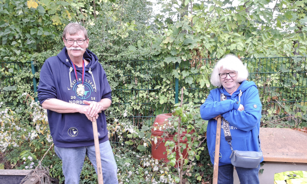 Kempener pflanzen bei Baumchallenge mit