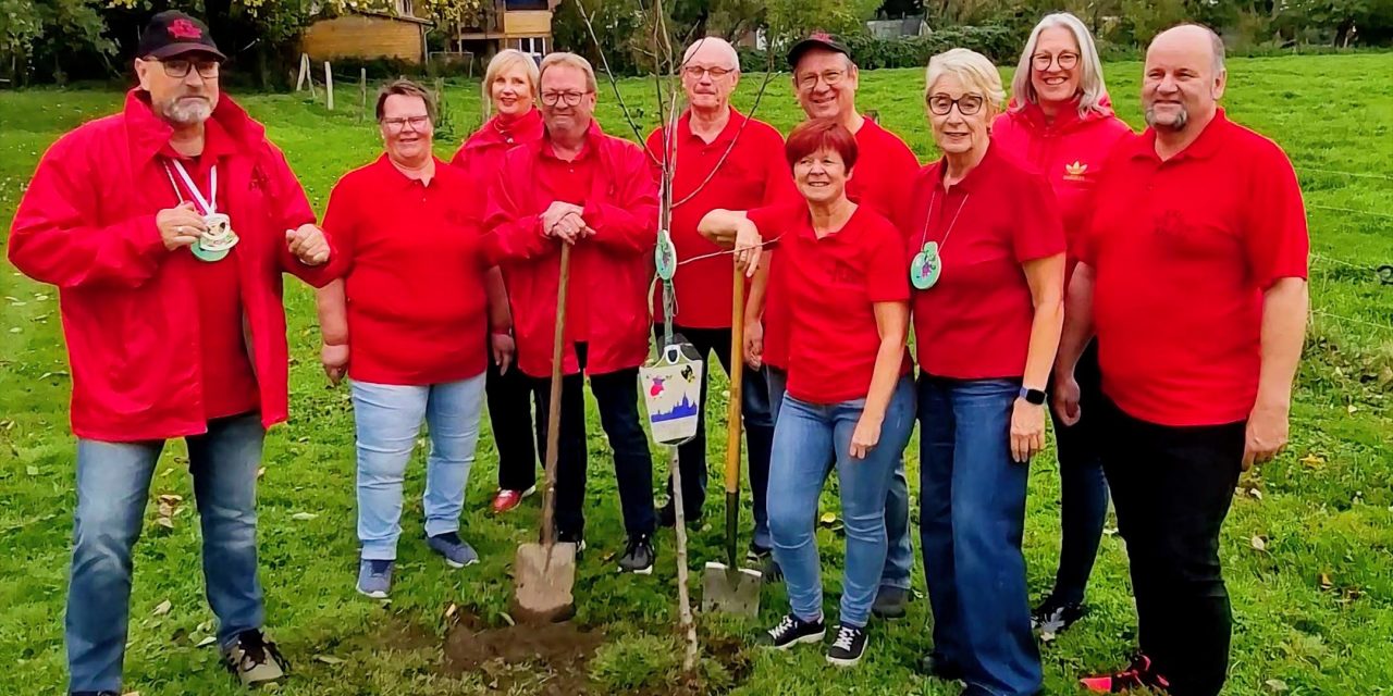 Hülser pflanzen bei Baumchallenge mit