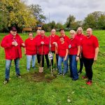 Hülser pflanzen bei Baumchallenge mit