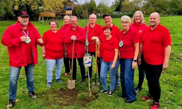 Hülser pflanzen bei Baumchallenge mit