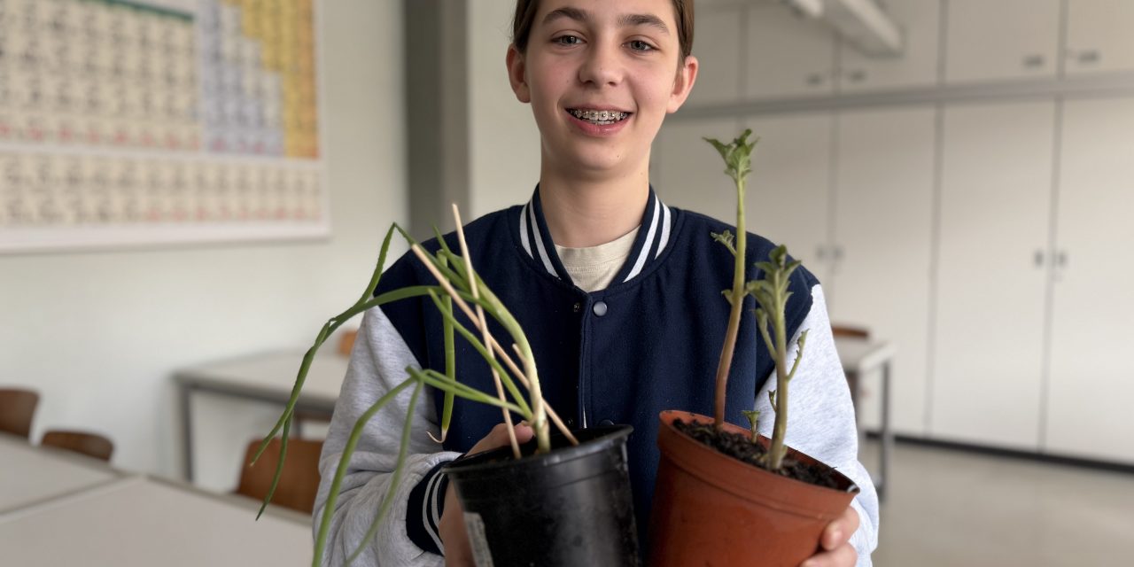 Schüler forscht gegen Lebensmittelverschwendung und gewinnt