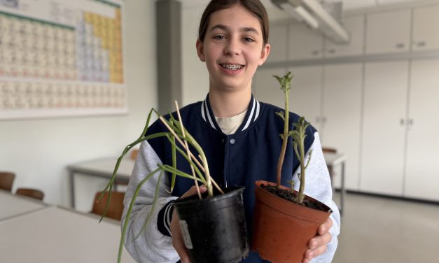 Schüler forscht gegen Lebensmittelverschwendung und gewinnt