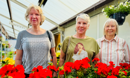 Auf zur Landesgartenschau