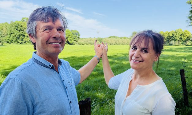 Störchenachwuchs auf Gut Steuwen begeistert Familie Geurden