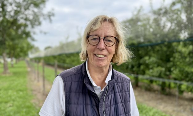 Angelika Feller übernimmt Vorsitz der CDU Tönisvorst